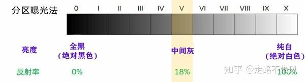 摄影新手入门:5分钟搞懂测光是什么?测光模式怎么选? - 知乎