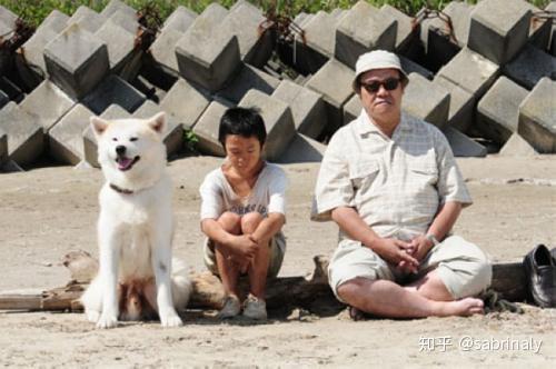 让我们重新回到这部《星守之犬》,这个狗主人的遭遇看上去像一个巧合.