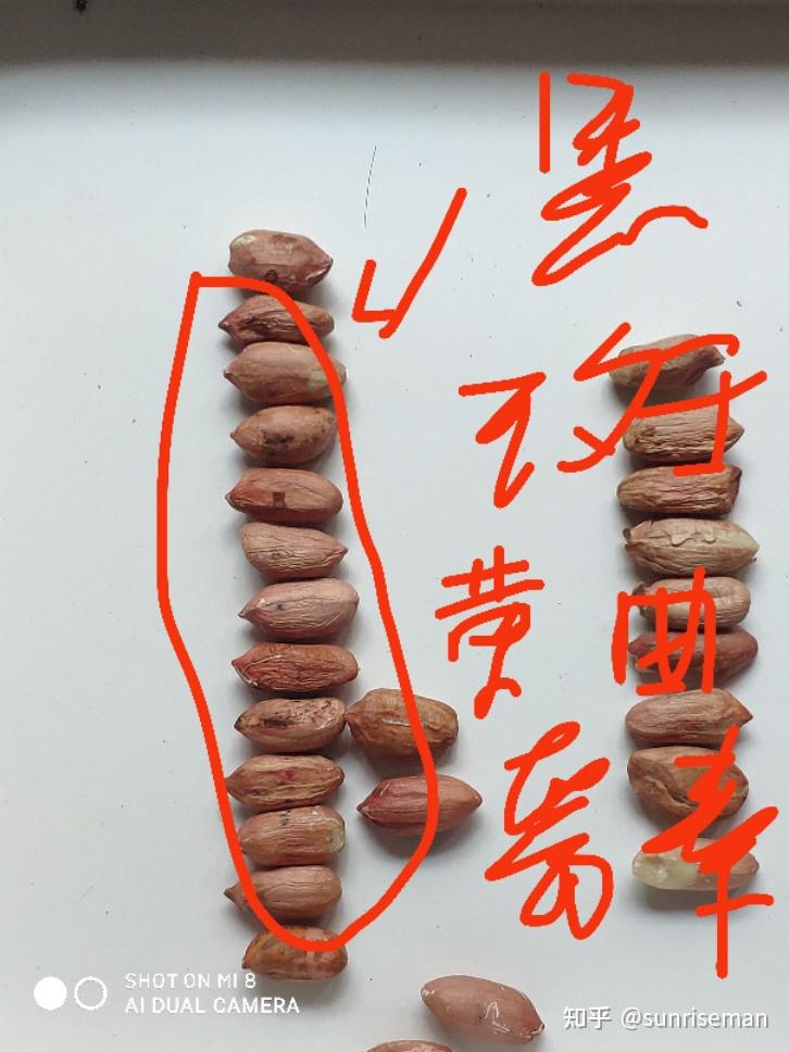 食品安全维权花生里有发霉黑点记录下天猫维权12315经历维权真心累