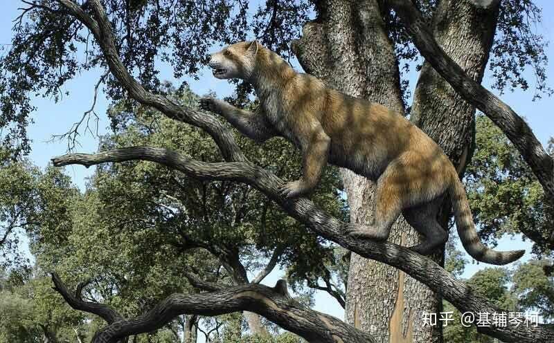 新生代巨兽猛兽与其他掠食者精简名录古兽争锋榜新近纪篇