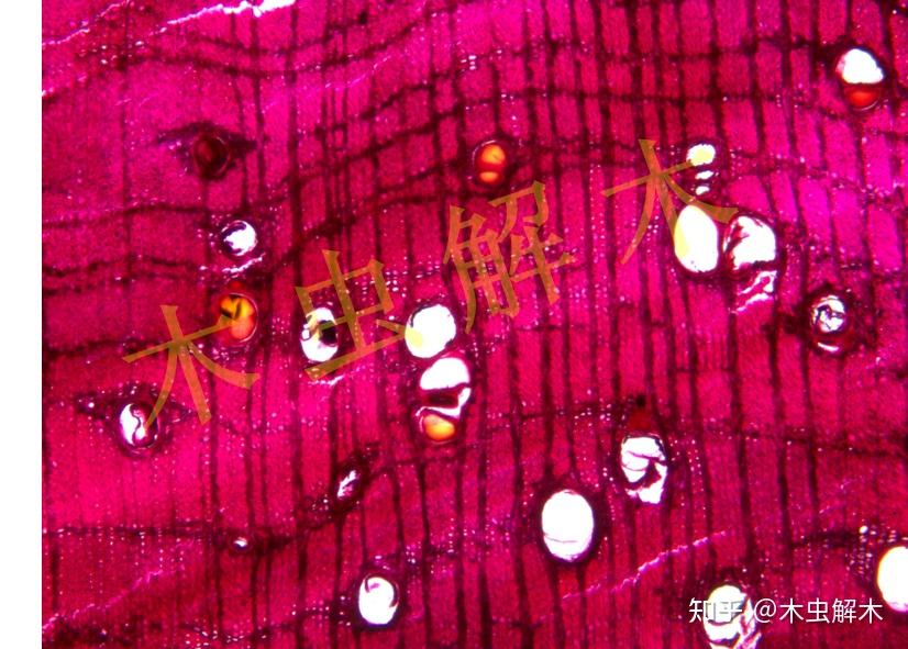 红木葡萄雕 木雕葡萄价格报价行情- 京东