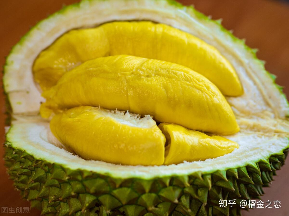 女士吃猫山王榴莲有什么好处榴金之恋专题