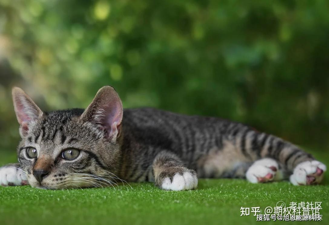 认沽期权需要保证金吗？ - 知乎