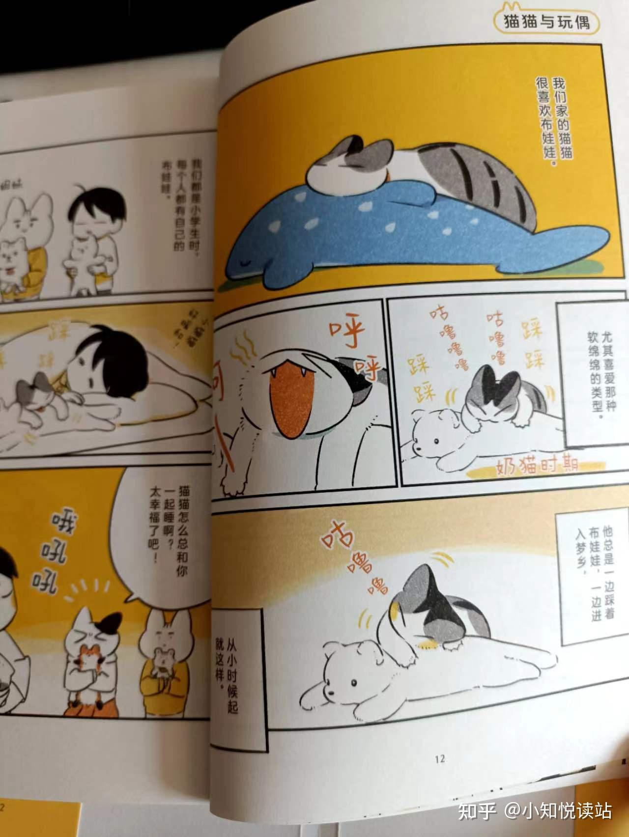 猫奴必读系列漫画读本之一我的猫十二岁猫的治愈系陪伴超温暖