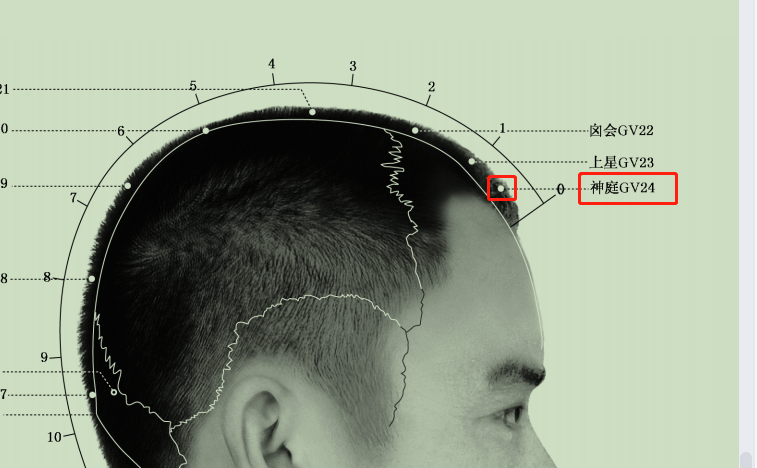 头颈部穴位】百会在头部,前发际正中直上5寸四神聪头部,百会前后左右