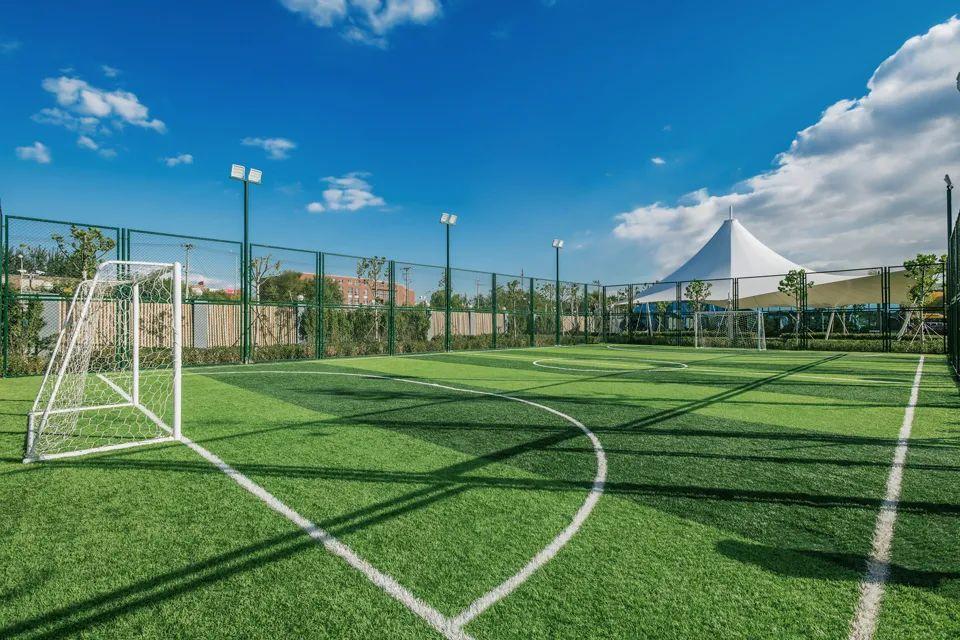 校园环境大揭秘盘点5所高颜值国际化学校