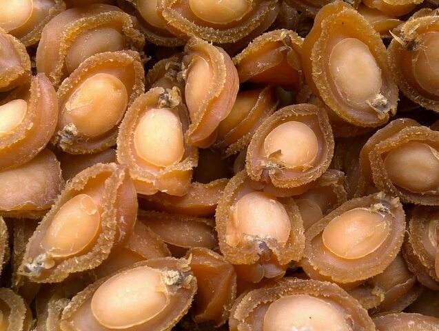 鲍鱼低温赛百诺空气能赛百诺热泵烘干机工艺流程