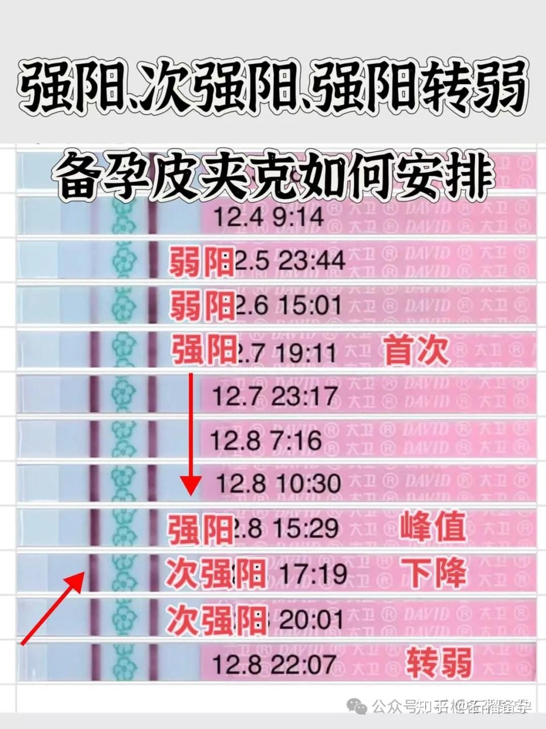 备孕男宝宝一定要知道的！强阳、次强阳、强阳转弱，弱阳跟排卵的关系 - 知乎