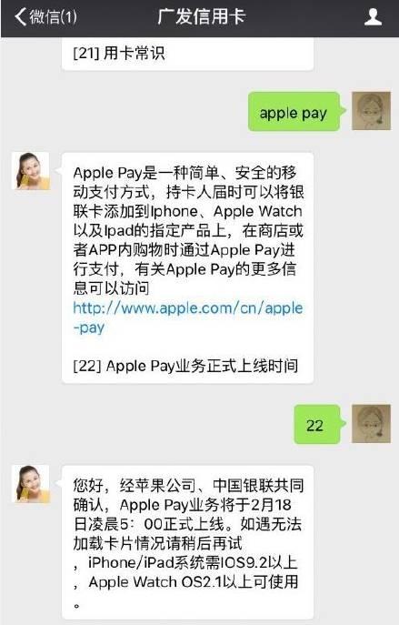pay支付怎么用_支付用不了花呗是怎么回事_支付用日语怎么说
