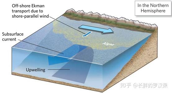 十六、海水-3(洋流-科里奥利力) - 知乎