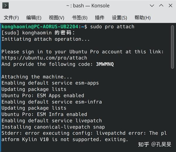 Ubuntu pro 