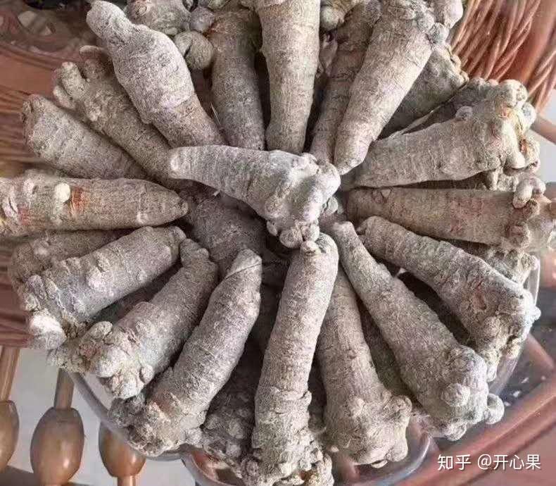 云南高原上的补血神药,400余年的云南特产,中国中药材中的璀璨明珠。 - 知乎