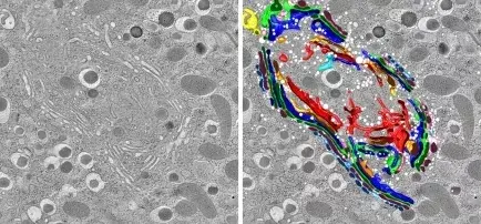 热爱物理,曾看不起生物学,没耽误他拿到诺贝尔医学奖