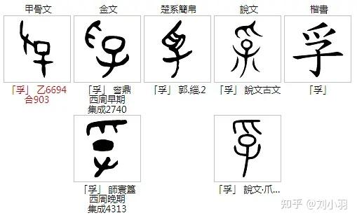 孚的甲骨文金文今天在编写古音字典的 piao 词条时,遇到莩,殍字,需要