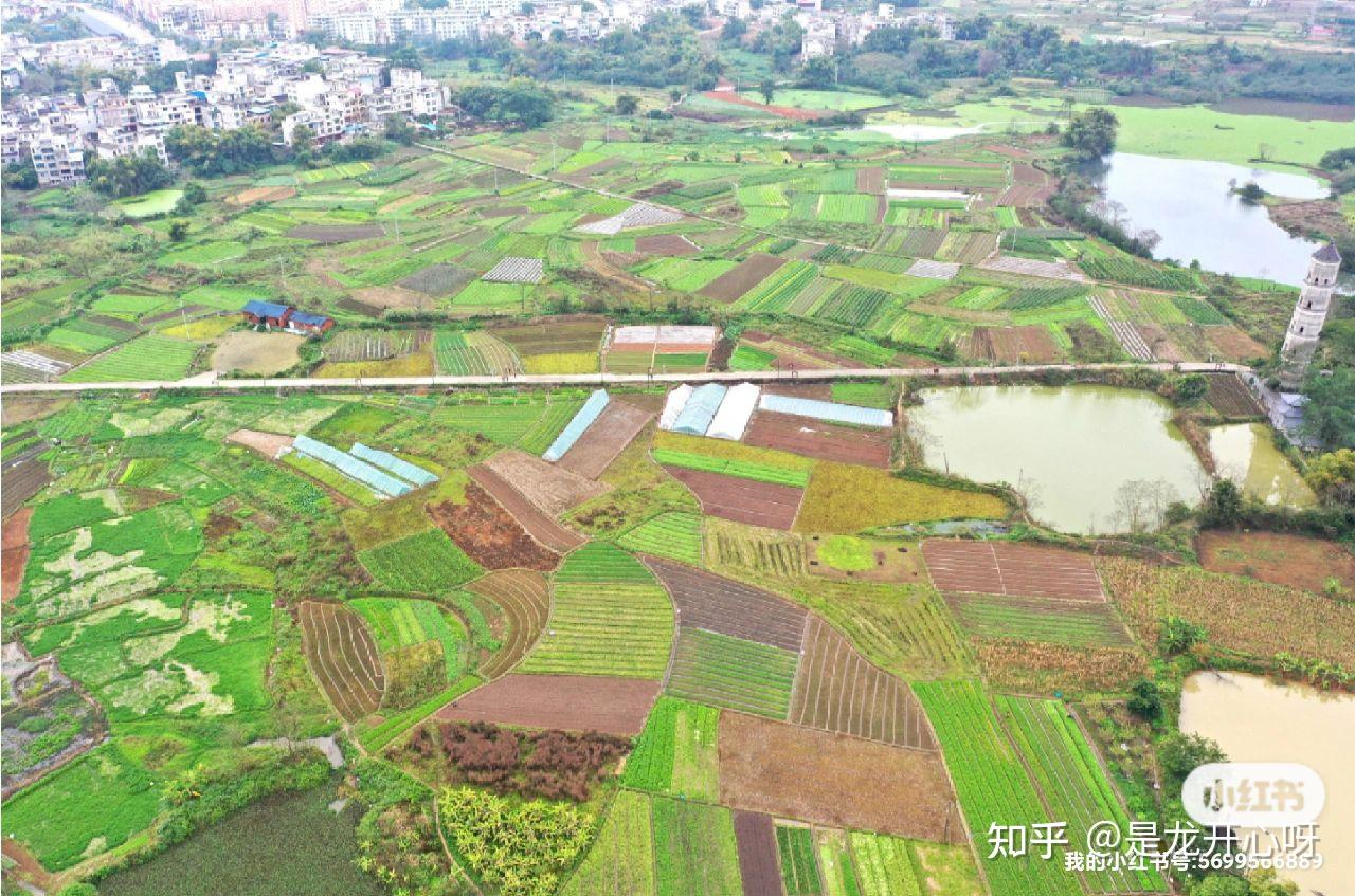 广西宁明县,祖国的边界城市,直面疫情,坚守国界! - 知乎
