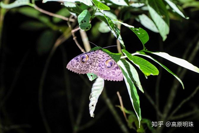 不仅能亲近自然,还有很深的教育意义,动物,人,自然本就一体,相辅相成