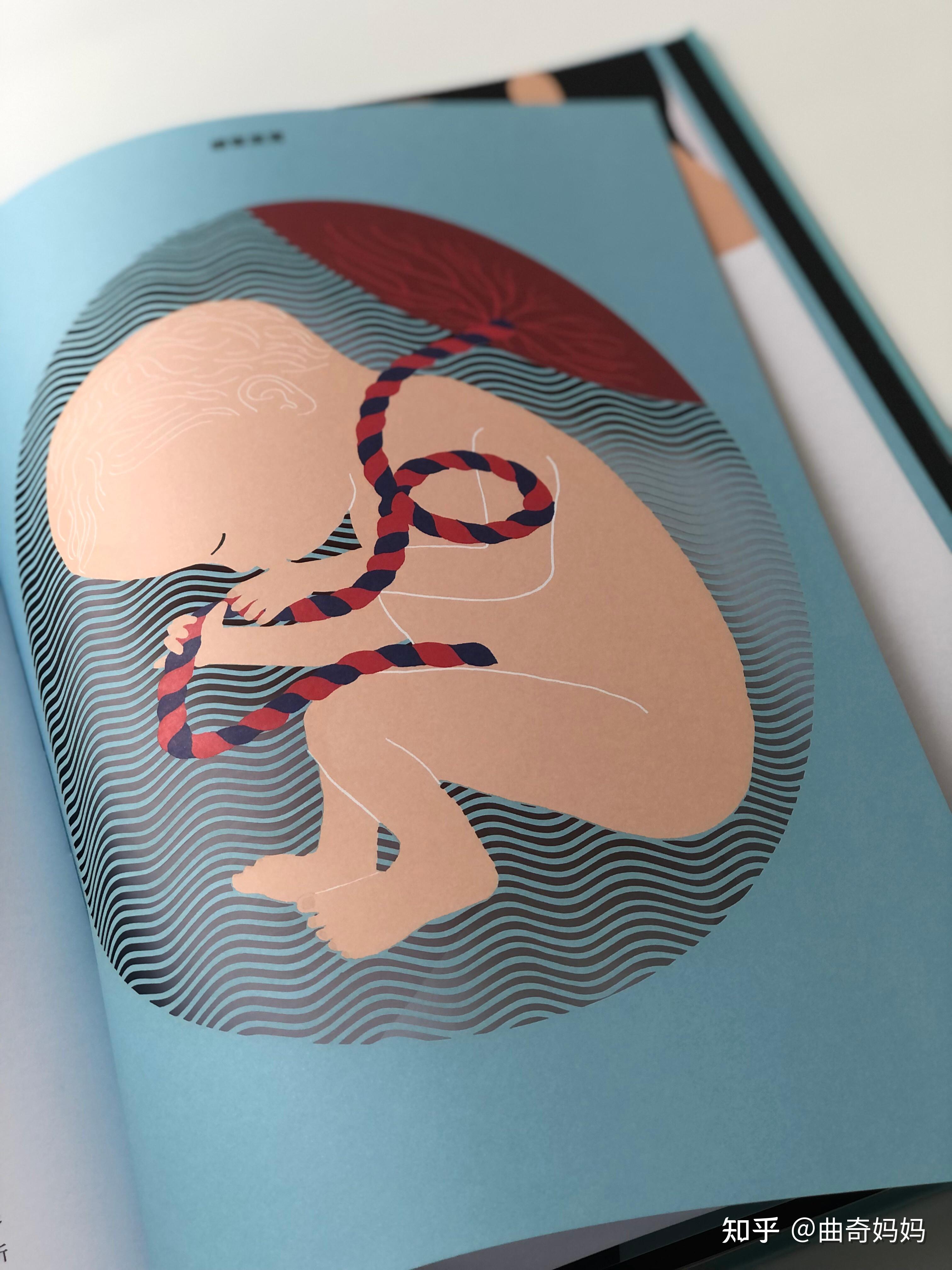 超艺术纸雕绘本,原来生命这么美