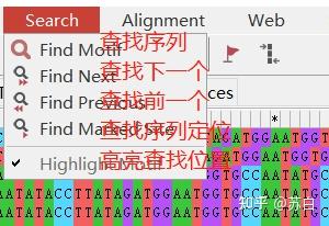 MEGA：安装与序列比对Align - 知乎