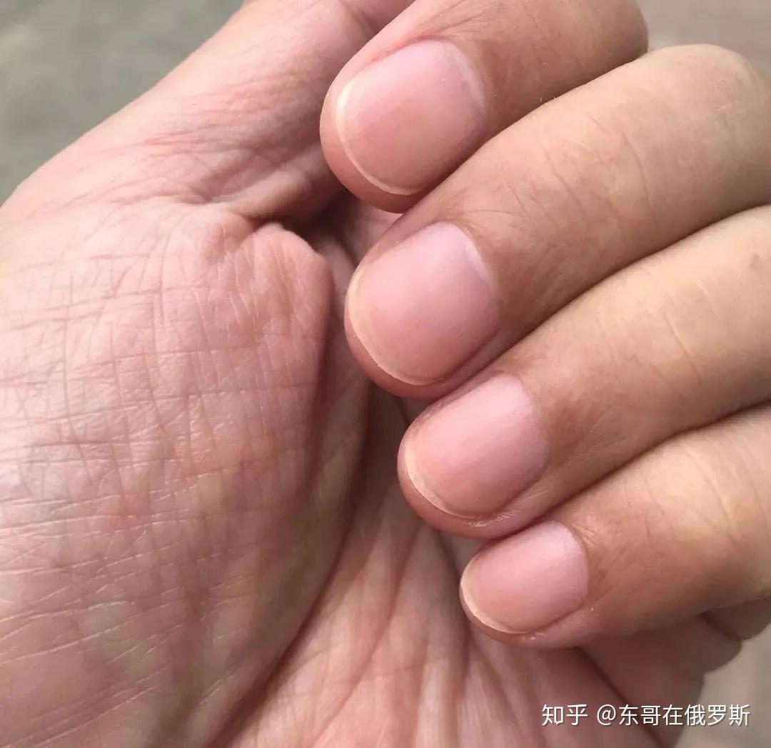 鞠躬敬茶保持干净整齐的指甲未来传递千万的价值