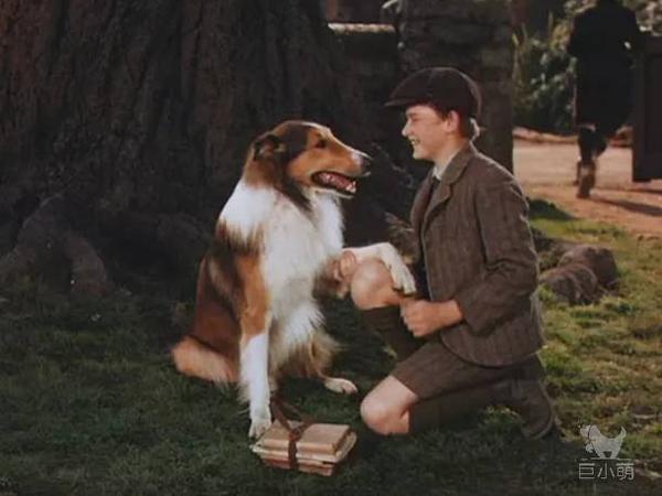 调教过性感寡姐 用草泥马训狗 他如今身价超70亿 知乎