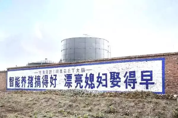 这些土味广告我从小看到大