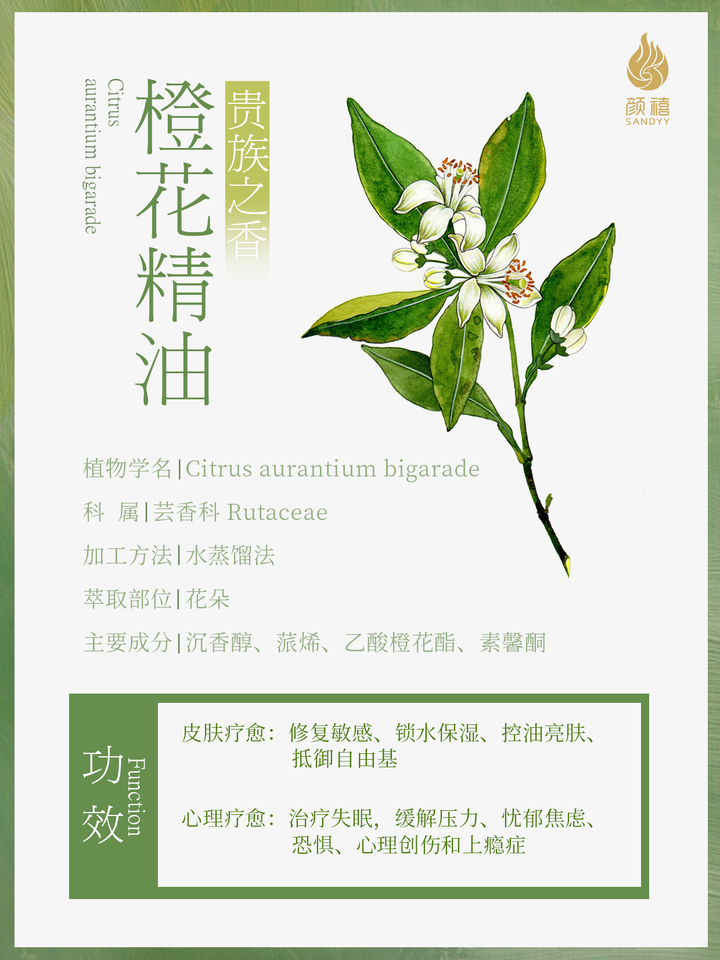 贵族之香 橙花精油 知乎