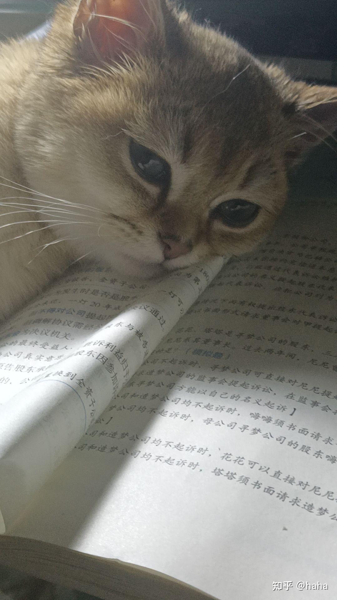 经验贴图片