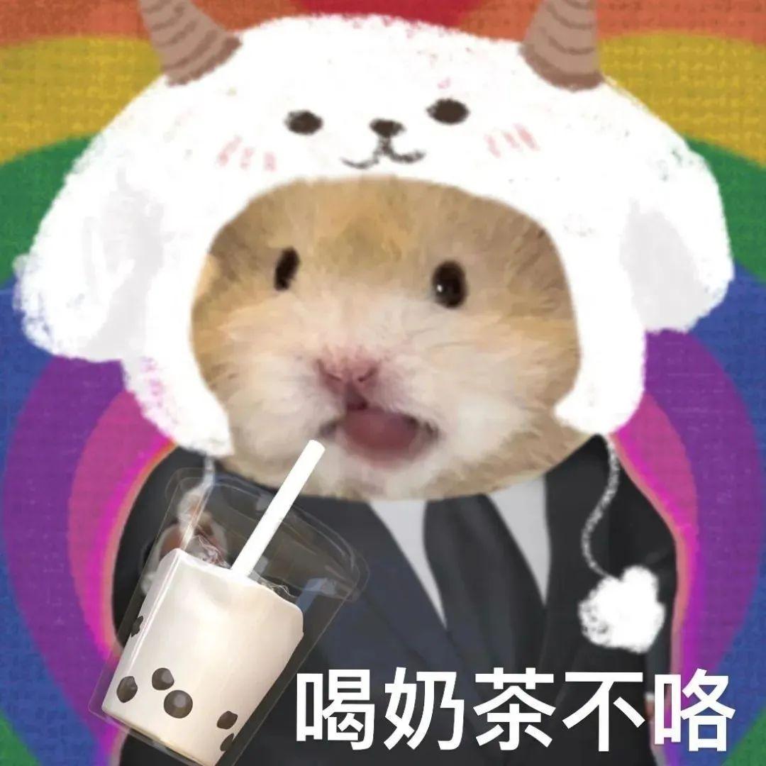 沙雕搞笑表情包合集有没有这一类的沙雕又可爱的表情包?