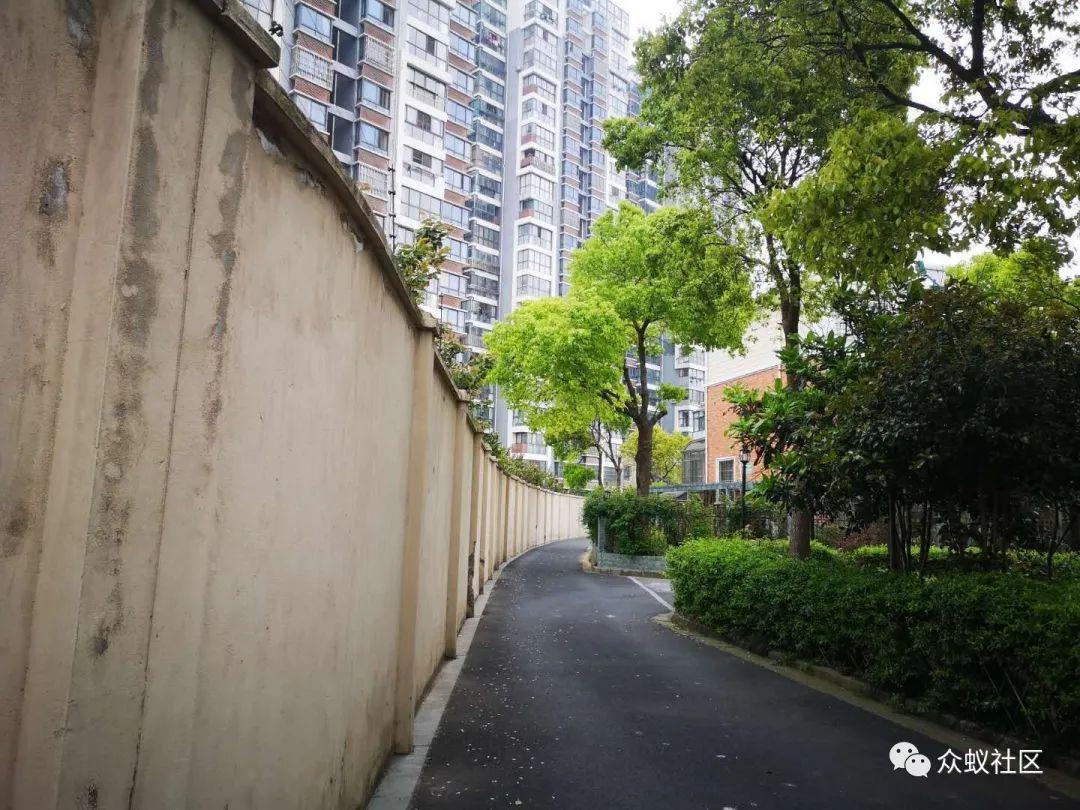 我们两边业主没根本性矛盾,只是这道围墙需要有个说法!|金山区杭州湾