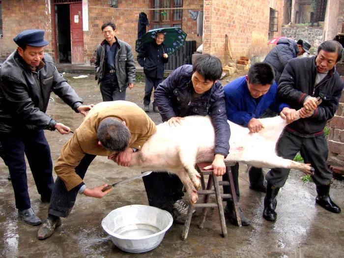 贵州杀猪菜图片图片