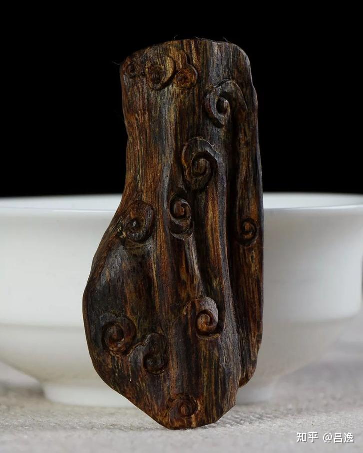 珍株奇楠扦插快繁十年后看海南屯昌奇楠扦插吊打野生奇楠沉香市场火爆