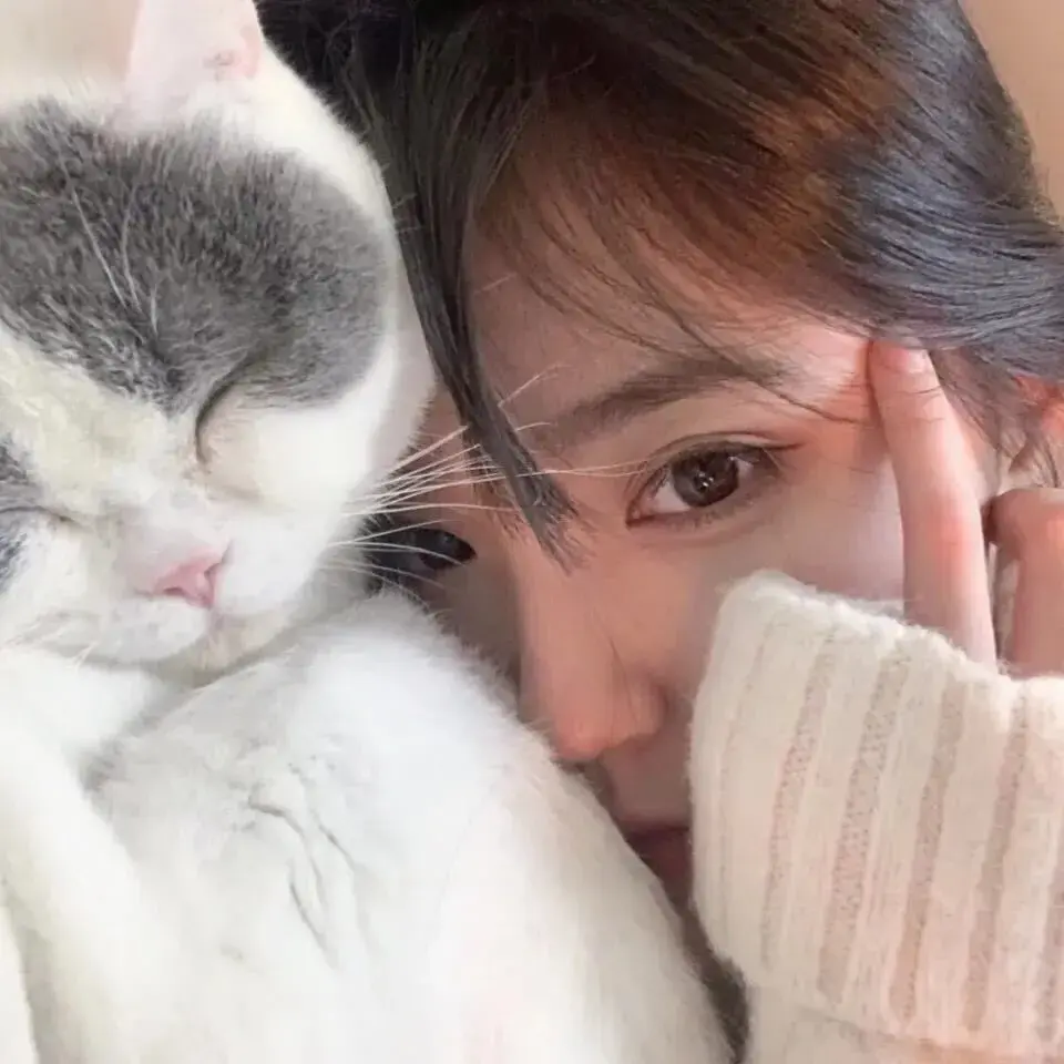 160+抱猫的女生头像合集 - 知乎