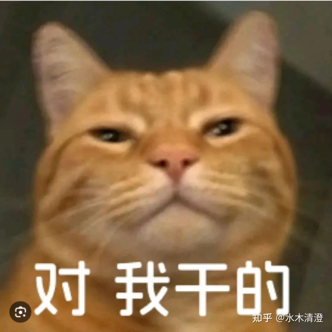 【2026年无线吸尘器全测评】从百元到千元,哪些无线吸尘器一定不要买?哪些可以放心冲?8年家电从业者一文讲清无线吸尘器选购!附戴森、CEWEY、小米、小狗、友望、松下等十款热门无线吸尘器实测分析