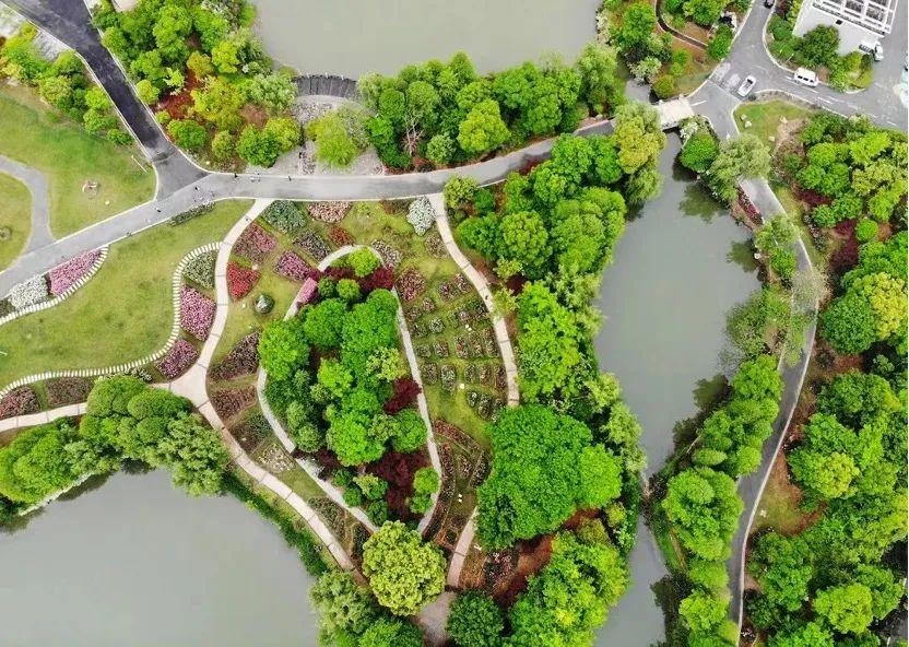 一座县级市为何能让500家德企落户这座城市有点东西