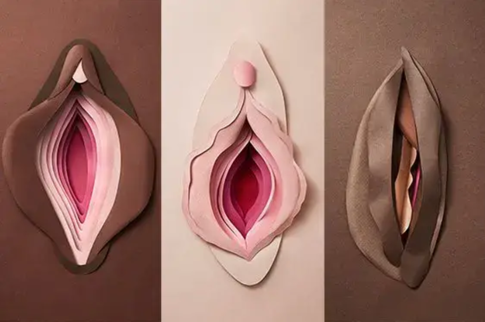 你还在担心下面丑吗请看mm长城展览