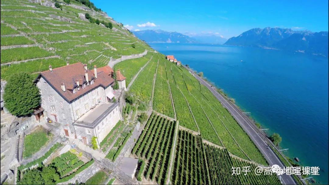 2020年全国1卷36题顺坡垄的葡萄能判断出降水特点