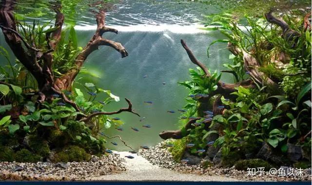 水草缸常见十五大底砂