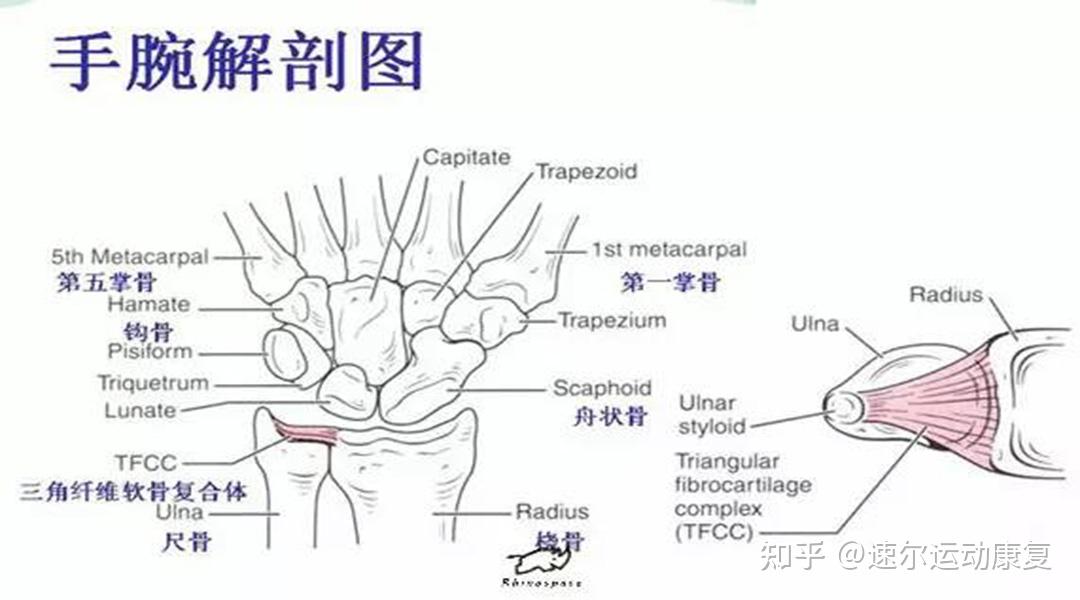 手腕疼究竟是什么原因?