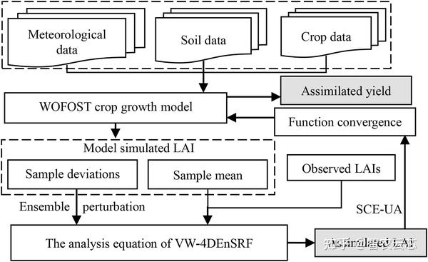 基于WOFOST模型和新型VW-4DEnSRF同化算法的区域冬小麦产量估算研究 - 知乎