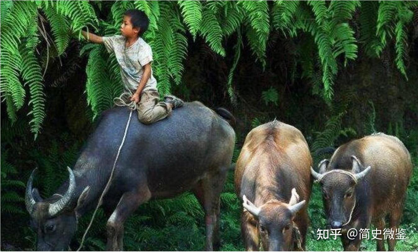 7岁农村放牛娃失去双腿靠300元赚得上亿资产累计捐款400多万