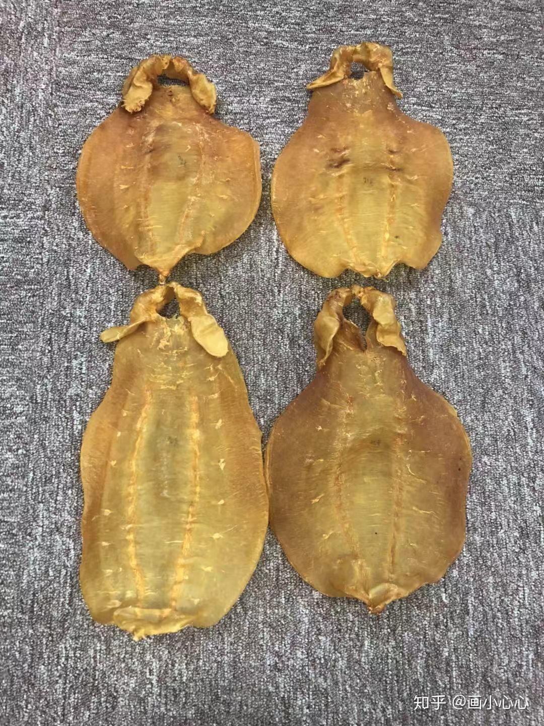 吃鱼胶选什么品种好选对鱼胶才能对症下药