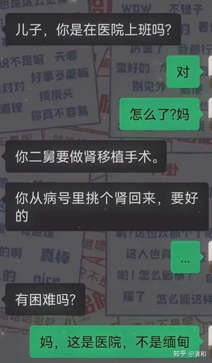 你见过最搞笑的笑话是什么? - 知乎