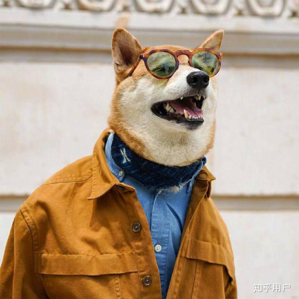 有哪些看着霸气可爱的狗狗头像