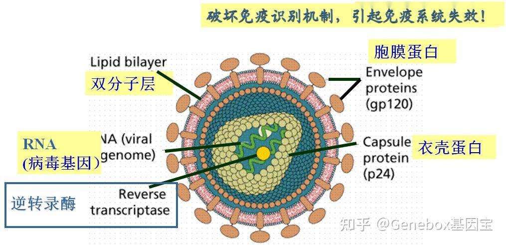 v2-416cf3bf340cfc79f588a7d002f31b39_r.jpg