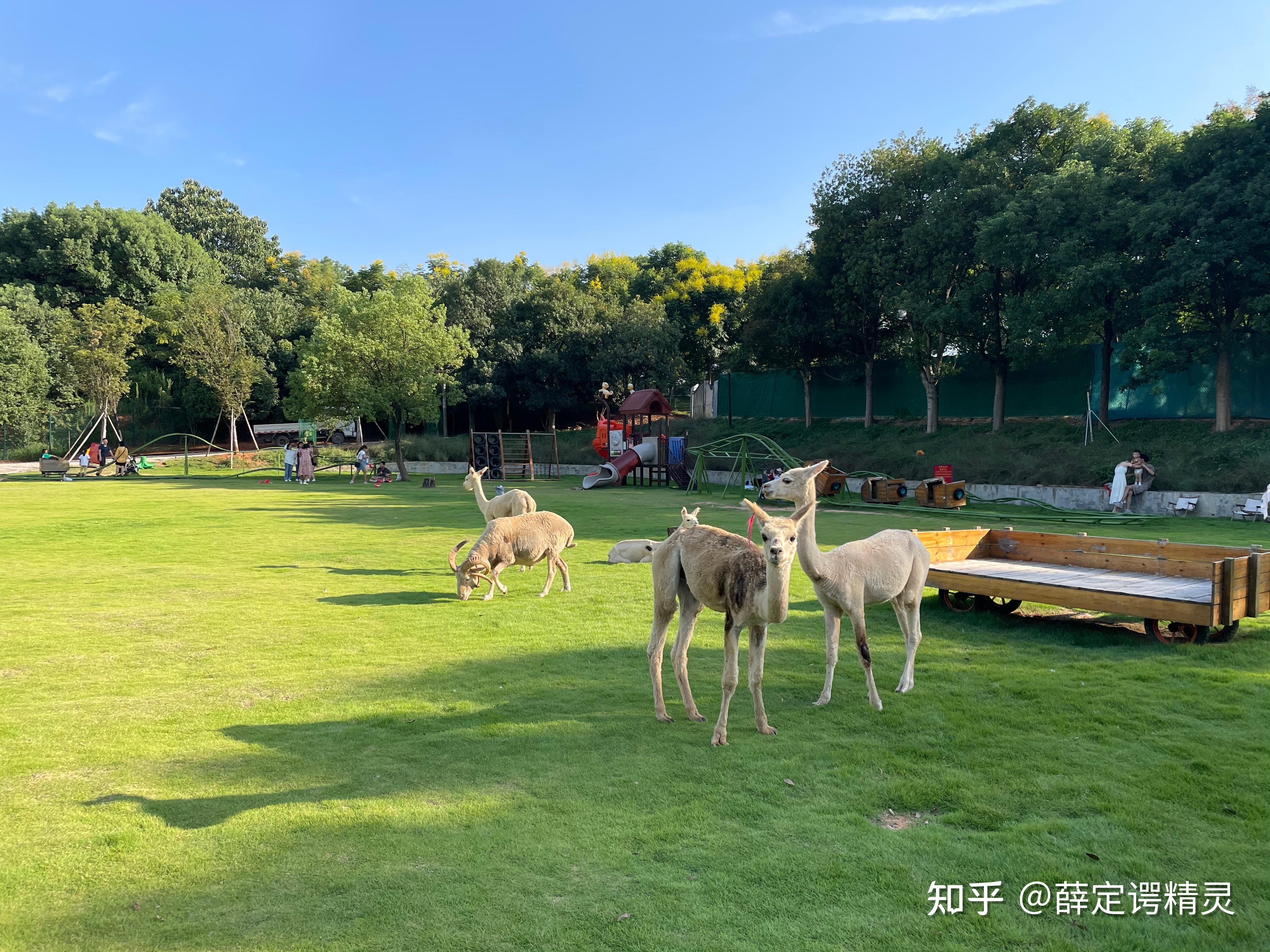 义乌植物园萌宠乐园溜娃一日游