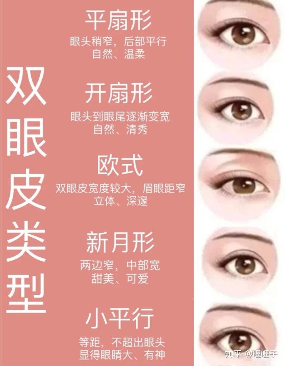 双眼皮的种类如何区分和选择呢？ - 知乎