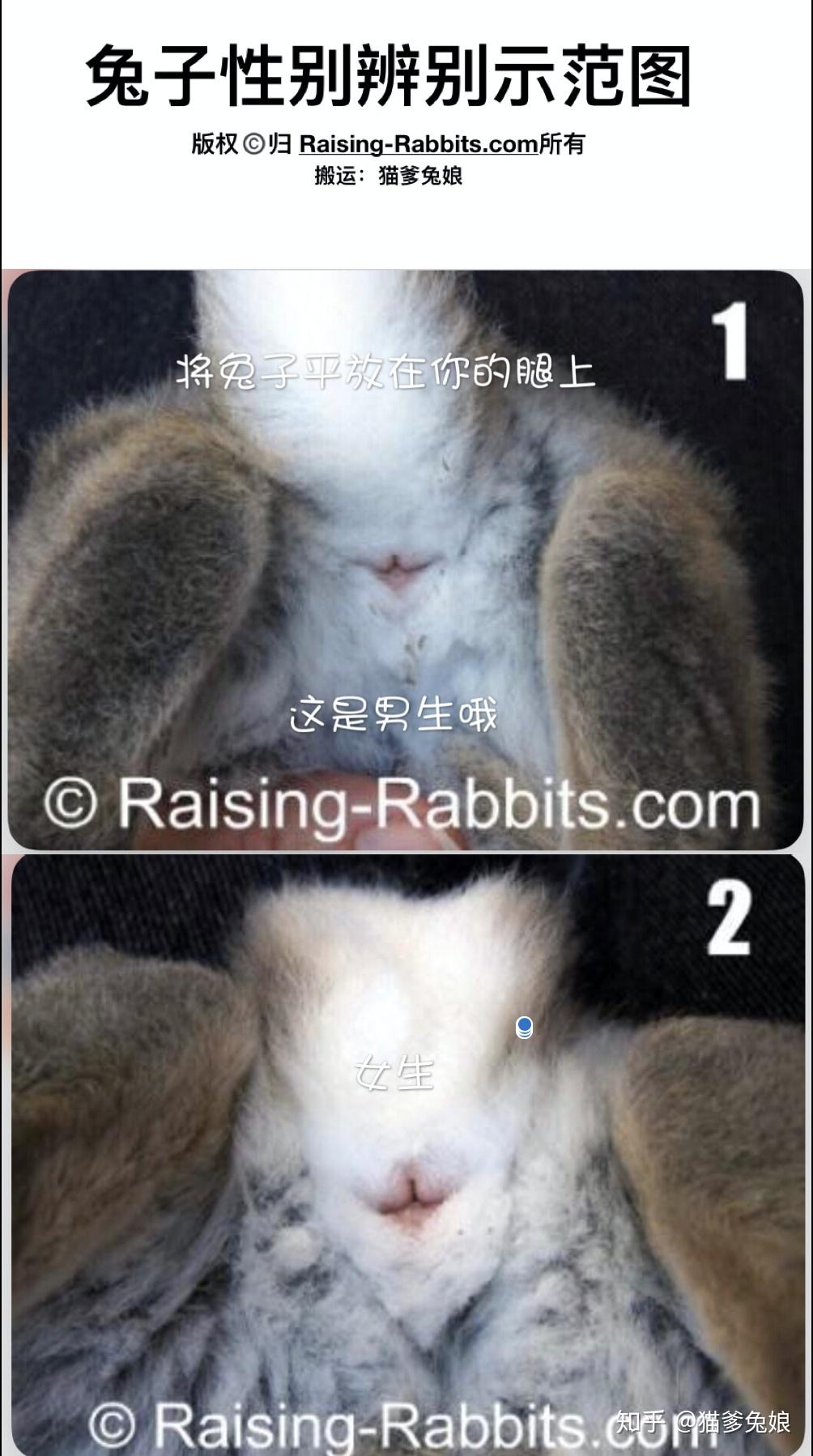 by connie isbell | audrey pavia