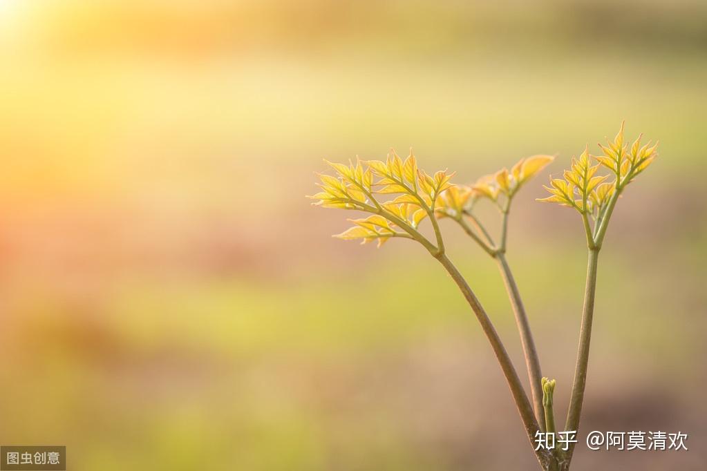 心中有雨波瀾不驚心中無雨浮光掠影