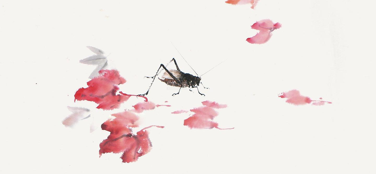 萤窗异草 斗蟋蟀 知乎 萤窗异草 斗蟋蟀 知乎