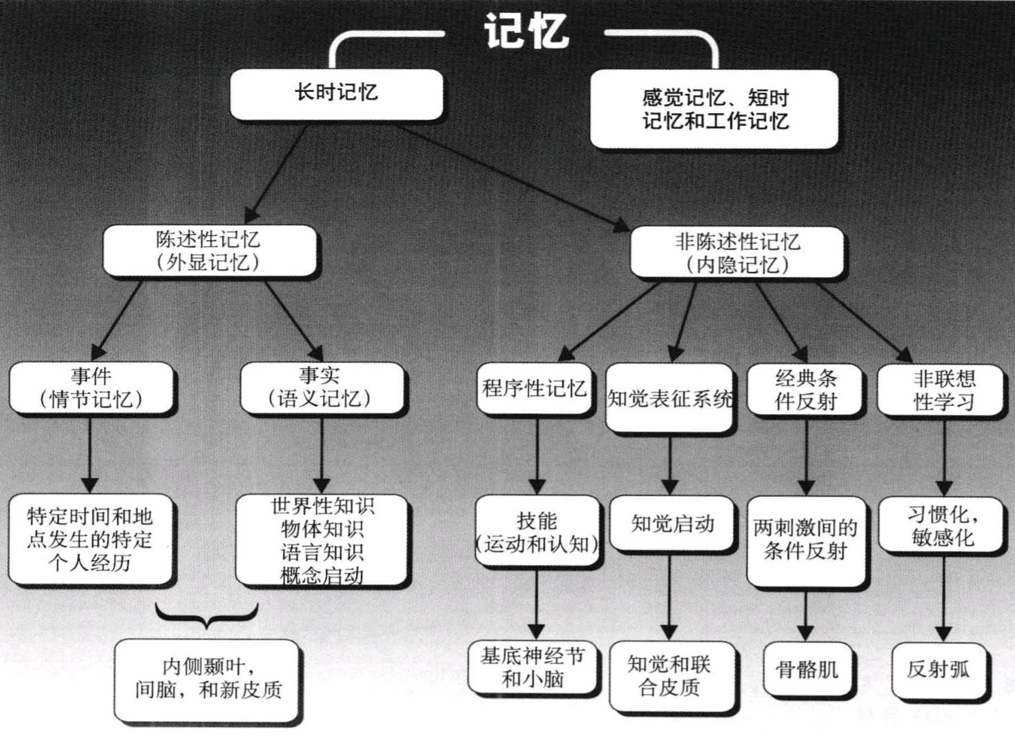 脑损伤患者的故事 1 (顺行性遗忘) - 知乎